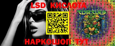 индика Заволжье