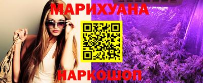 индика Заволжье