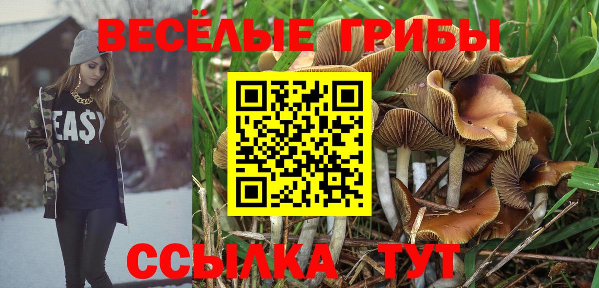 Псилоцибиновые грибы GOLDEN TEACHER Буйнакск