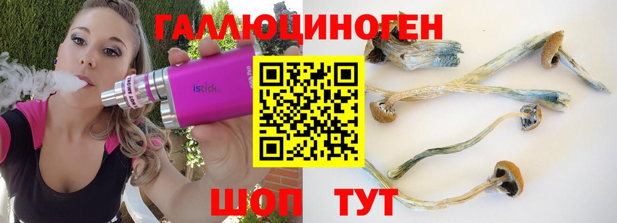 Буйнакск  Галлюциногенные грибы GOLDEN TEACHER  Вход с VPN 